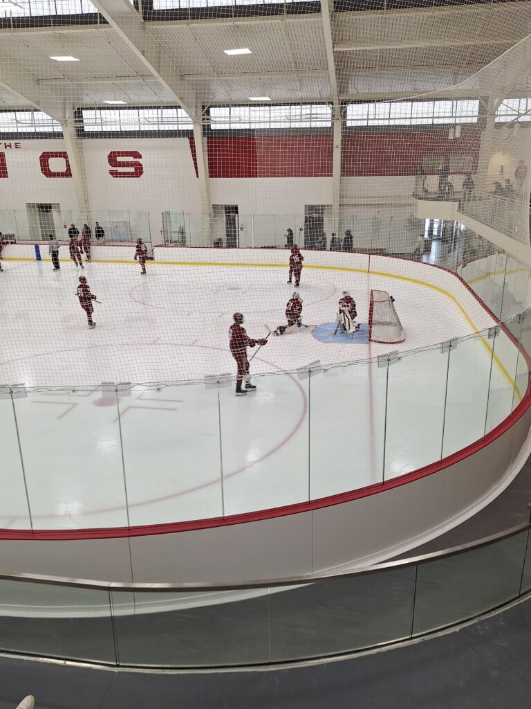 Hockey players near a goal