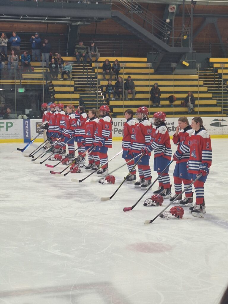 Hockey players lined up and ready to play